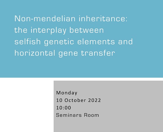 Non-mendelian inheritance: the interplay between selfish genetic elements and horizontal gene transfer